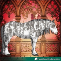 Horse Color:Grullo Sabino Rabicano 