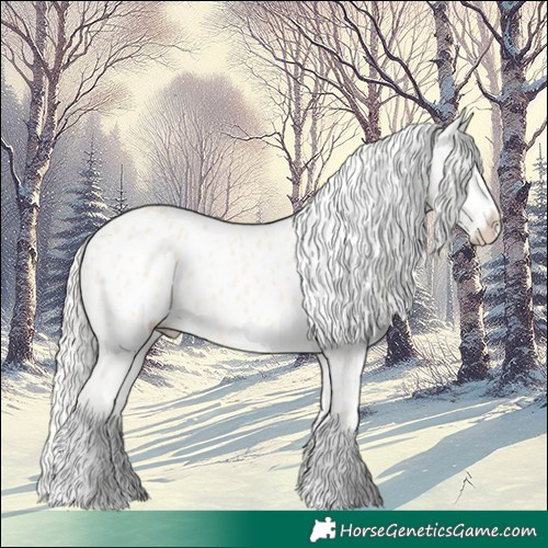 Horse Color:Cremello Appaloosa 