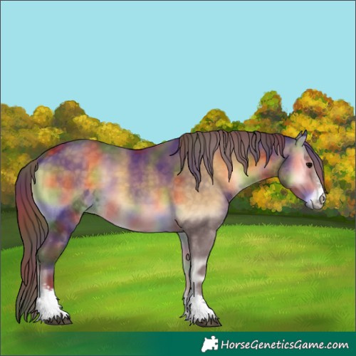 Horse Color:Nacre Chocolate Buckskin Onyx Sabino 