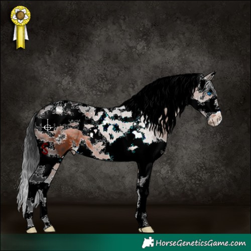 Horse Color:Brown Sabino Splash Tobiano 
