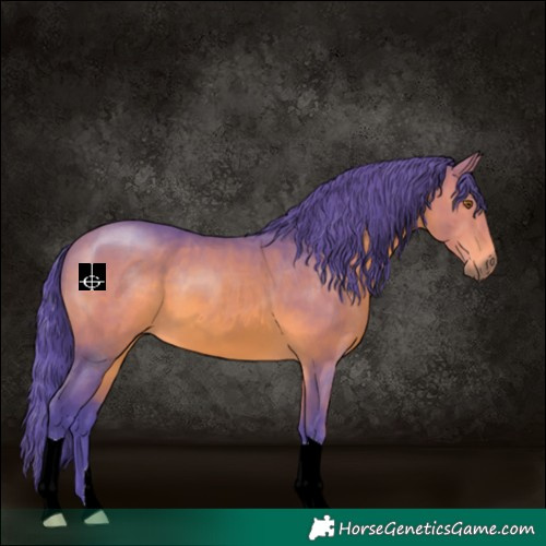 Horse Color:Watercolor Bay 