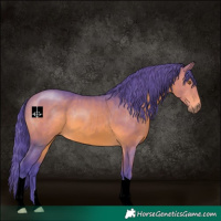 Horse Color:Watercolor Bay 