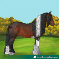 Horse Color:Brown Tobiano 