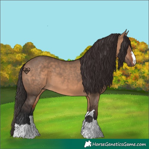 Horse Color:Bay Dun