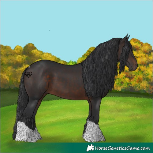 Horse Color:Brown Tobiano