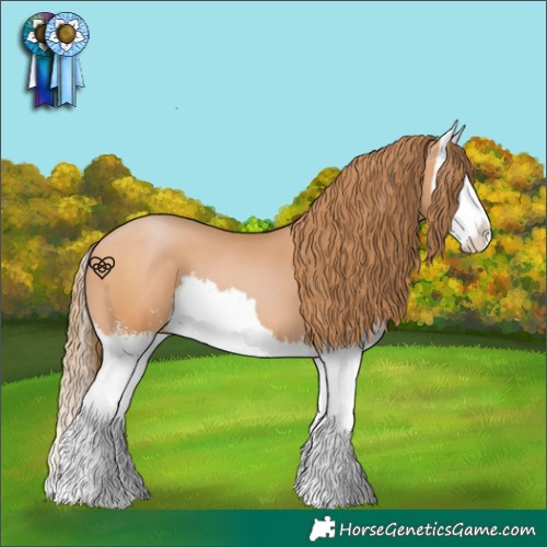 Horse Color:Bay Pearl Sabino Splash 