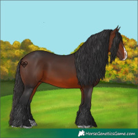 Horse Color:Brown Splash Rabicano 