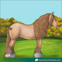Horse Color:Bay Pearl 