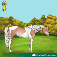 Horse Color:Silver Sable Champagne Tobiano Rabicano 