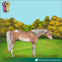Horse Color:Silver Sable Champagne Tobiano
