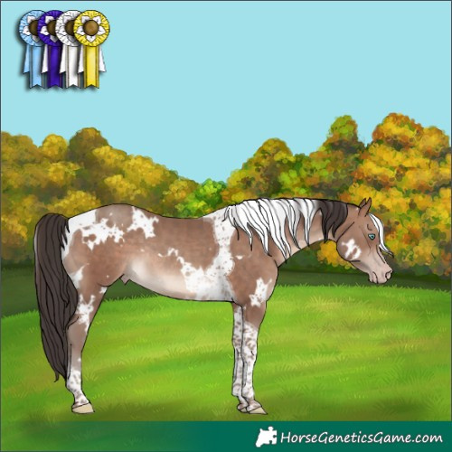 Horse Color:White Spotted Sable Champagne Tobiano Rabicano 