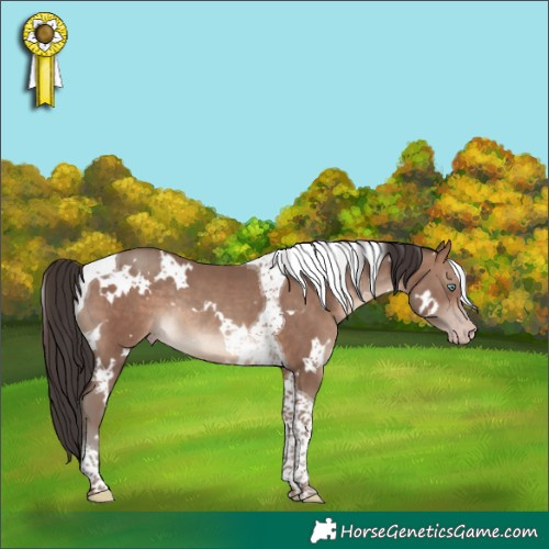 Horse Color:White Spotted Sable Champagne Tobiano Rabicano 