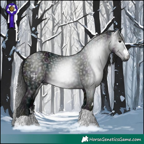 Horse Color:Gray Midnight Black 