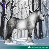 Horse Color:Gray Midnight Black