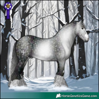 Horse Color:Gray Midnight Black 