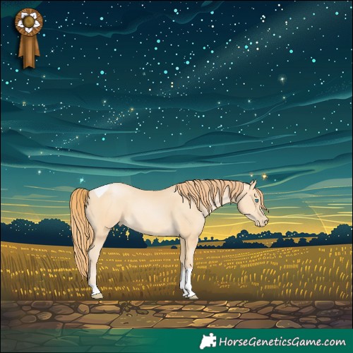 Horse Color:Buckskin Pearl Tobiano 