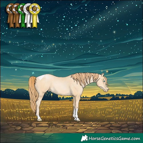Horse Color:Buckskin Pearl Tobiano 