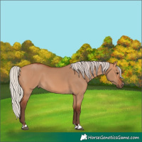 Horse Color:Silver Bay Dun 
