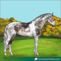 Horse Color:Gray Silver Brown Tobiano 