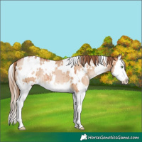 Horse Color:White Spotted Bay Pearl Dun Splash Brindle