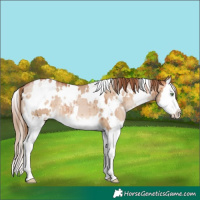 Horse Color:White Spotted Bay Pearl Dun Splash Brindle 