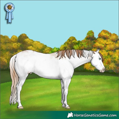 Horse Color:White Spotted Bay Pearl Dun Mushroom Sabino Splash 