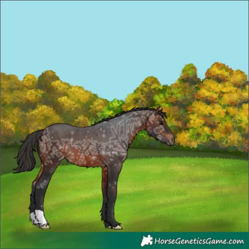 Horse Color:Brown Ice 