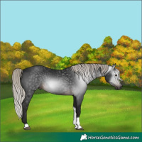 Horse Color:Gray Silver Brown Tobiano 