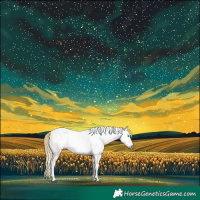 Horse Color:Gray Brown Ice Dun Tobiano Appaloosa Rabicano 