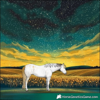 Horse Color:Gray Brown Ice Dun Tobiano Appaloosa Rabicano