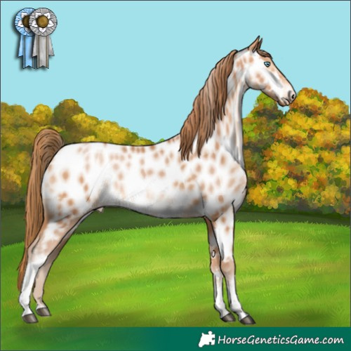 Horse Color:Bay Pearl Tobiano Near Leopard