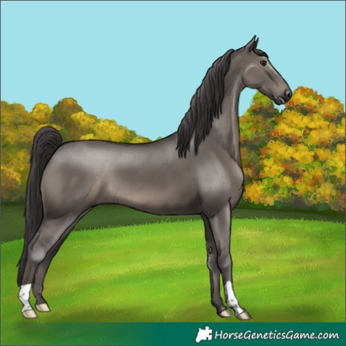 Horse Color:Smoky Grullo 