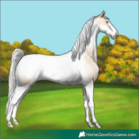Horse Color:Silver Smoky Blue Roan Pearl Tobiano Frame Rabicano 