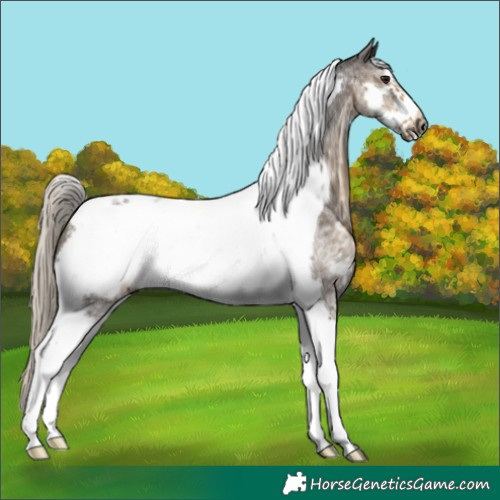 Horse Color:Silver Smoky Black Sabino Tobiano Frame 