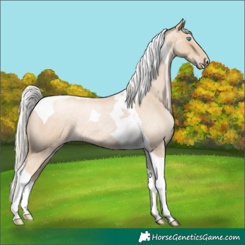 Horse Color:Silver Smoky Blue Roan Pearl Tobiano