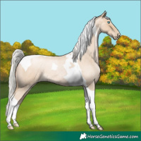 Horse Color:Silver Smoky Blue Roan Pearl Tobiano 
