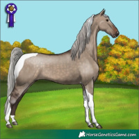 Horse Color:Silver Brown Dun Tobiano 