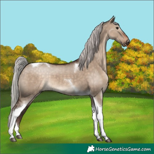 Horse Color:Silver Brown Dun Tobiano 