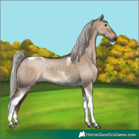 Horse Color:Silver Brown Dun Tobiano 
