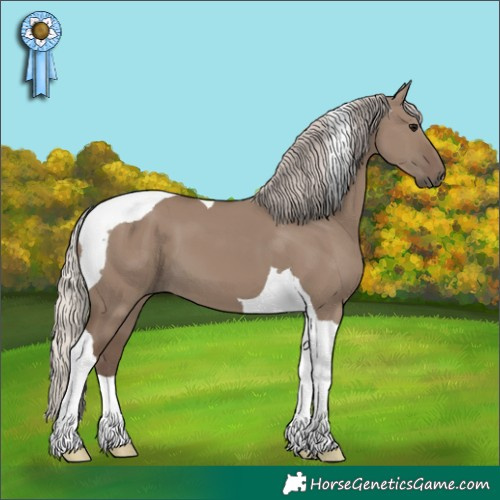 Horse Color:Silver Grullo Tobiano 