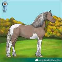 Horse Color:Silver Grullo Tobiano
