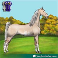 Horse Color:Silver Bay Dun Sabino Tobiano 