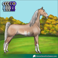 Horse Color:Silver Bay Dun Sabino Tobiano