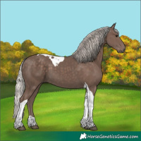 Horse Color:Silver Black Tobiano 