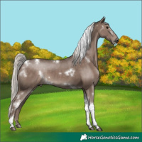 Horse Color:White Spotted Silver Black Tobiano Frame