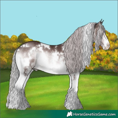 Horse Color:Platinum White Spotted Chocolate Silver Brown Onyx 