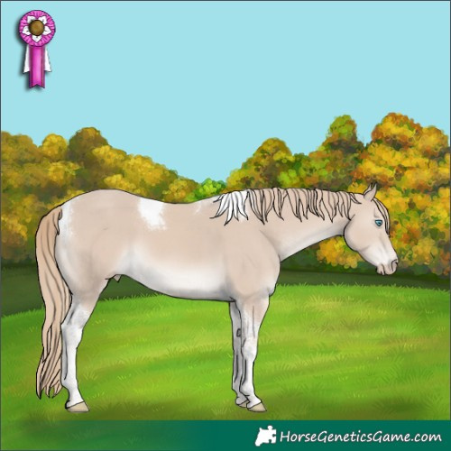 Horse Color:Smoky Creme Tobiano 