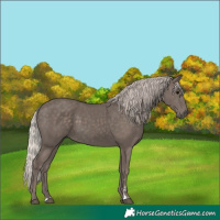 Horse Color:Silver Black 