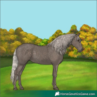 Horse Color:Silver Black