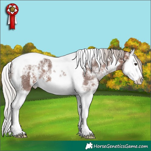Horse Color:Silver Brown Ice Sabino Splash Tobiano 